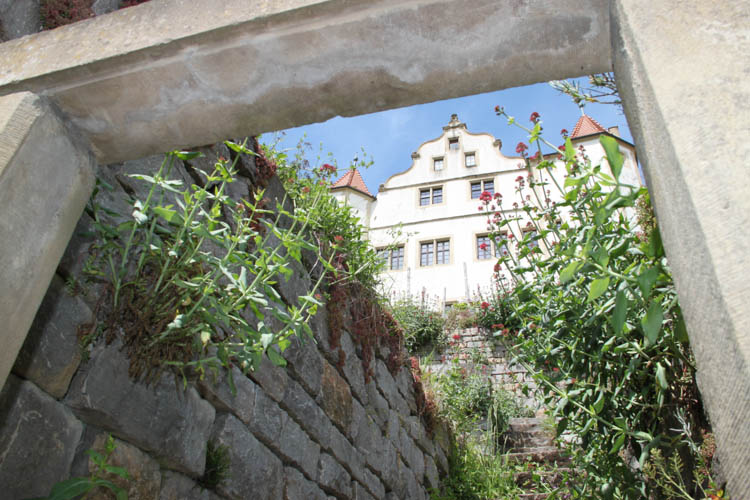 MTB 22. KW Schloss kraichtal 2